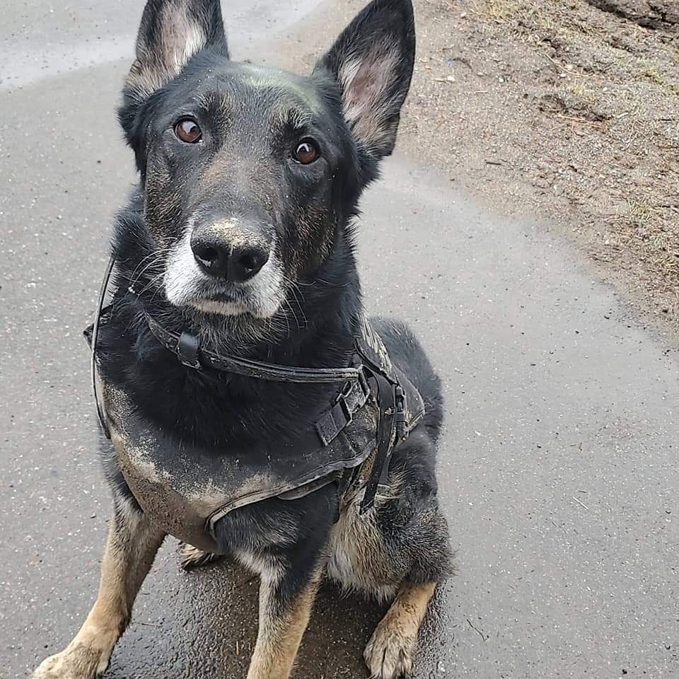Virginia Police Department K-9 Unit - Northland K-9 Foundation